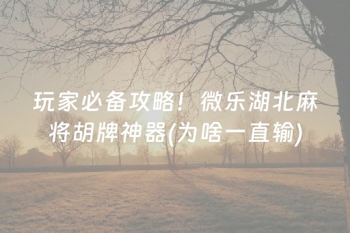给大家科普一下“微乐安徽麻将输赢规律”（助赢神器)