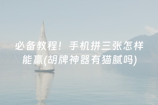 玩家必备攻略“微乐河北麻将自建房胜负规律”（小程序控牌器)