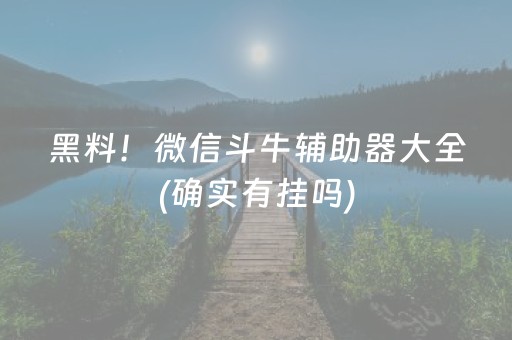 分享玩家攻略“微乐安徽麻将输赢规律”（专用神器下载)