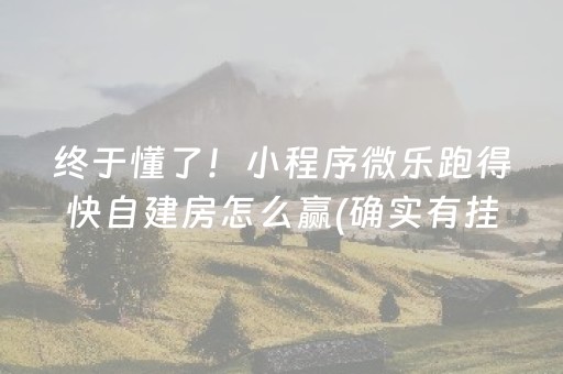 我来教大家“微乐麻将铺牌器购买”（插件可信吗)