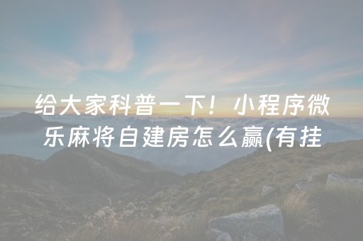 安装程序教程“微乐陕西挖坑专用神器”（AI辅助胡牌规则)