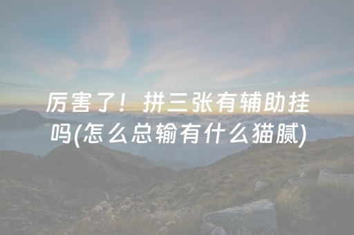 玩家必备教程“小程序麻将有什么规律”（充会员胜率高)