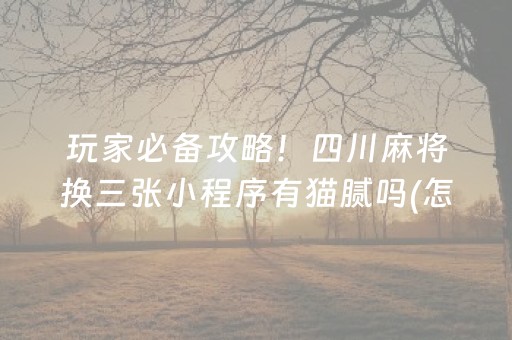 重大通报“微乐山东麻将助攻神器”（开挂辅助插件)