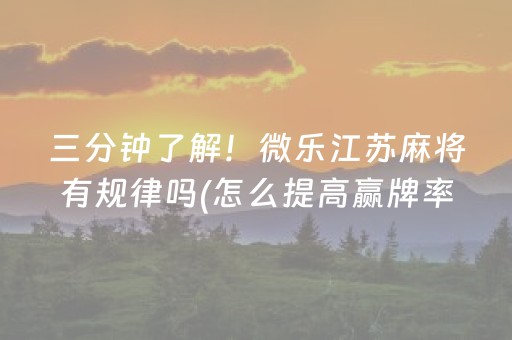 给玩家盘点十款“广东微乐麻将助赢神器购买”（小程序辅助软件)