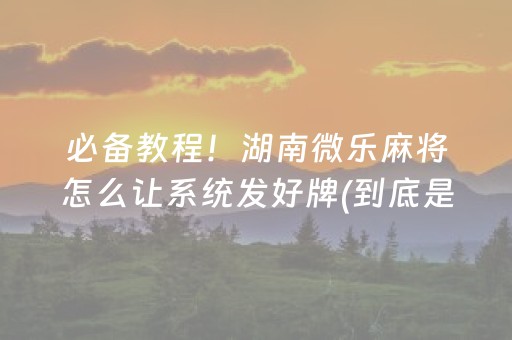 广州美食（广州美食街小吃一条街）