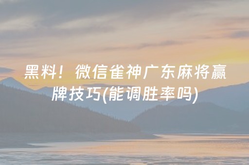 一分钟揭秘“微乐麻将怎么让系统给自己好牌”（必赢神器)