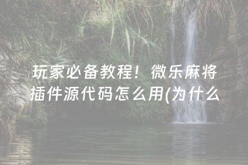 玩家必看“微乐保皇如何让系统发好牌”（助赢神器)