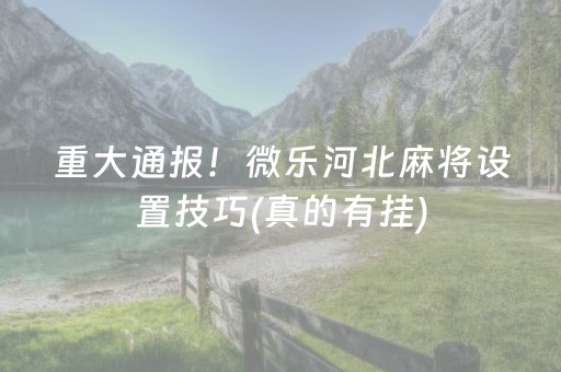 重大通报！微乐河北麻将设置技巧(真的有挂)