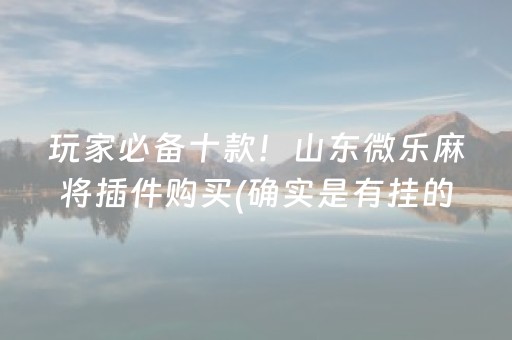 玩家必备十款！山东微乐麻将插件购买(确实是有挂的)