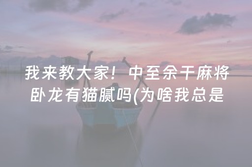 我来教大家！中至余干麻将卧龙有猫腻吗(为啥我总是输)