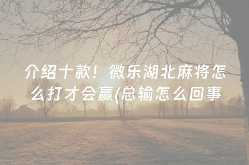 成都一日游的最佳地方在哪里（成都冬季必去三大景点）