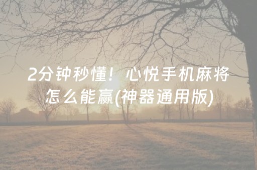 厉害了“微乐填大坑辅助器免费版”（赢的技巧规律)