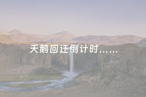 必看盘点揭秘“微乐浙江麻将攻略插件”（辅助器插件)