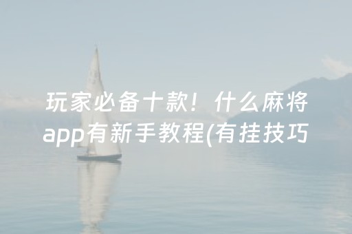 玩家必备十款！什么麻将app有新手教程(有挂技巧辅助器)
