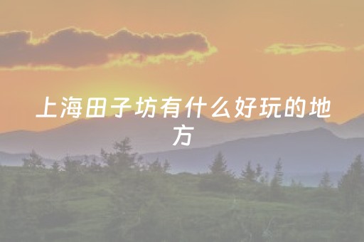 上海田子坊有什么好玩的地方（上海田子坊有什么好玩的地方景点）