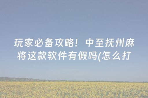 分享玩家攻略“微乐内蒙麻将怎么拿好牌”（做弊器软件下载)