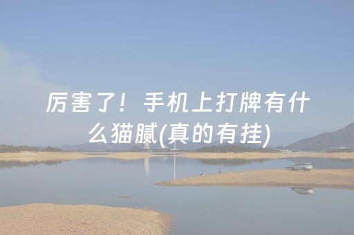 厉害了！手机上打牌有什么猫腻(真的有挂)