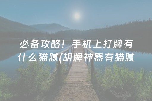 玩家必看科普“微乐宁夏麻将助赢神器”（胜率到哪调)