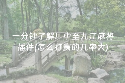一分钟了解！中至九江麻将插件(怎么打赢的几率大)