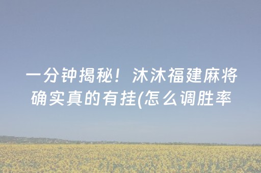 一分钟揭秘！沐沐福建麻将确实真的有挂(怎么调胜率)