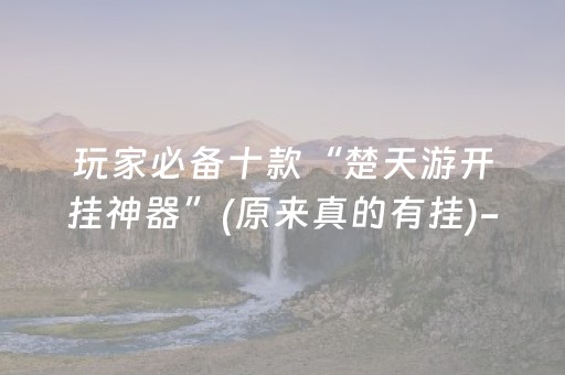 玩家必备十款“楚天游开挂神器”(原来真的有挂)-抖音