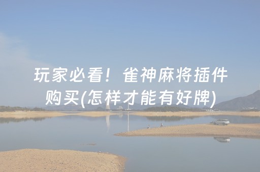 玩家必看科普“微信小程序广东雀神麻将辅助器下载”（如何让系统发好牌)