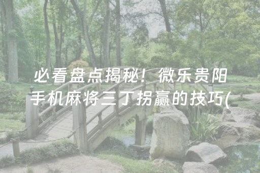 玩家必看“小程序麻将控牌神器”（自建房怎么赢)