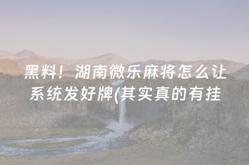 乐岛海洋公园（乐岛海洋公园在哪）