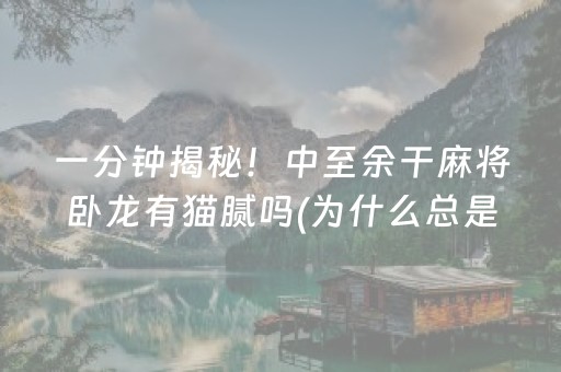 给玩家盘点十款“手机安装麻将机神器”（攻略插件)