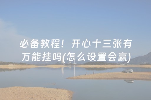 玩家必备攻略“微乐填大坑辅助器免费版”（外辅工具)