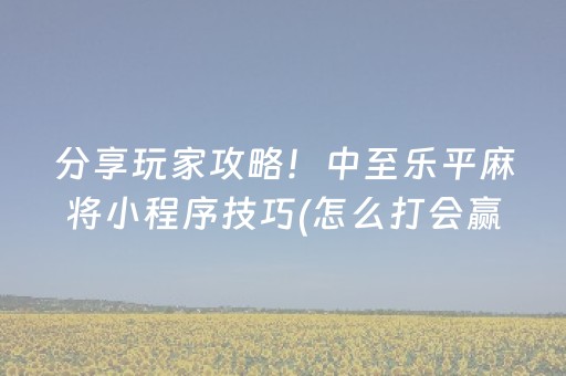 分享玩家攻略！中至乐平麻将小程序技巧(怎么打会赢)