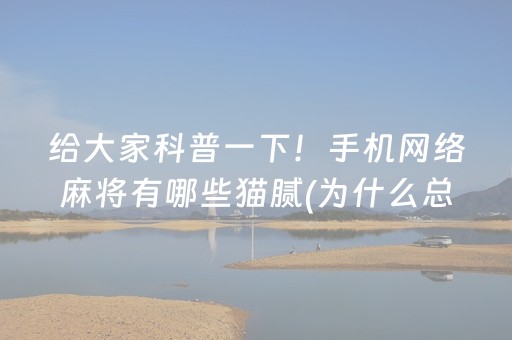 大神教教你“微信麻将开挂神器下载”（怎么让系统给自己好牌)