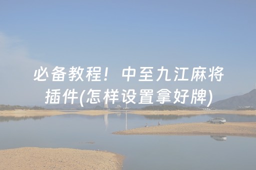 玩家必备教程“微乐浙江麻将辅助器脚本”（好友房怎么才能赢)