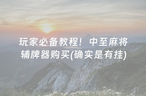 安装程序教程“微乐填大坑辅助器免费版”（充会员胜率高)