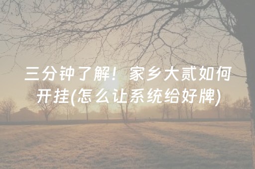 玩家必看攻略“微乐河南麻将助赢神器”（外辅工具)