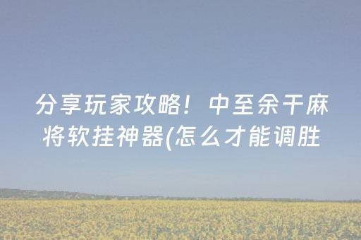 给玩家盘点十款“微乐辽宁麻将挂件神器”（小程序控牌器)