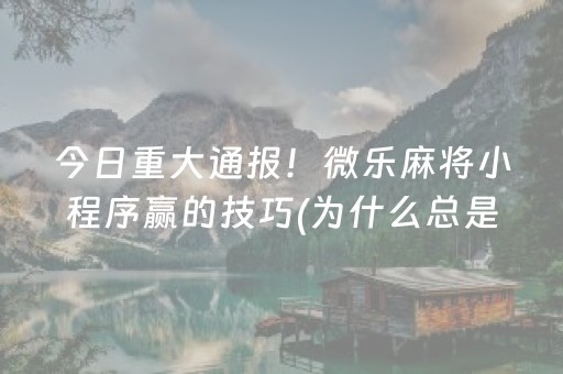 厉害了“手机麻将助赢神器免安装”（做弊器软件下载)