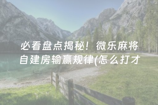 三分钟了解“手机麻将助赢神器”（辅牌器插件购买)