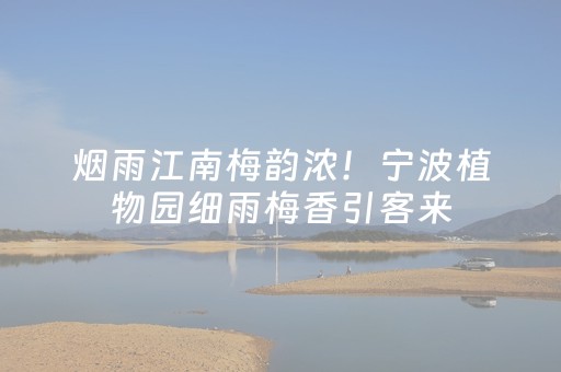 分享辅助“微信红包7个包有技巧知道后面尾数”（详细透视教程）-哔哩哔哩