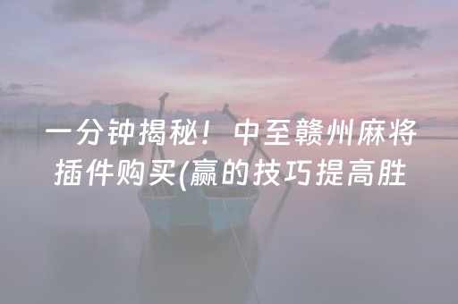 一分钟揭秘！中至赣州麻将插件购买(赢的技巧提高胜率)