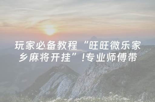 玩家必备教程“旺旺微乐家乡麻将开挂”!专业师傅带你一起了解（详细教程）-抖音