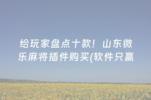 给玩家盘点十款！山东微乐麻将插件购买(软件只赢不输)