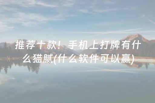 实测分享“手机微乐麻将铺牌器购买（专用辅牌神器免安装）