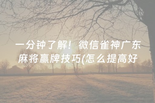 一分钟了解！微信雀神广东麻将赢牌技巧(怎么提高好牌率)