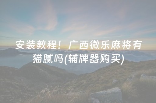 实测辅助“微乐二七王开挂视频（助赢神器通用版）