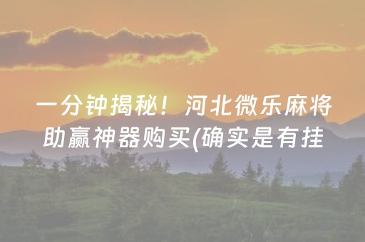 一分钟揭秘！河北微乐麻将助赢神器购买(确实是有挂)