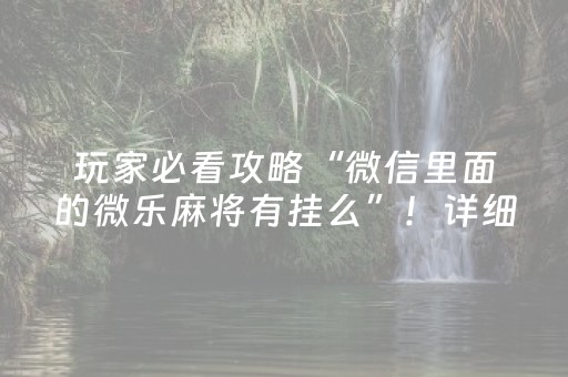 玩家必备教程“手机控牌app（助赢神器通用版）