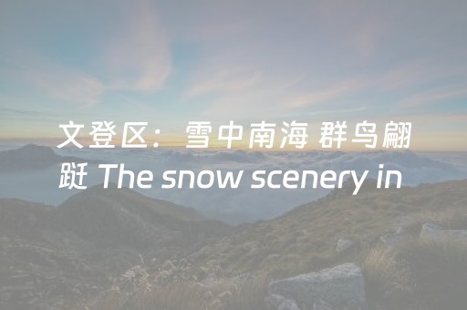 文登区：雪中南海 群鸟翩跹 The snow scenery in Wendeng Nanhai is filled with a large group of birds fluttering gracefully