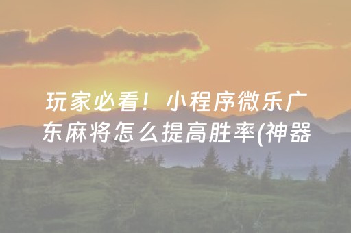 玩家必看！小程序微乐广东麻将怎么提高胜率(神器通用版)