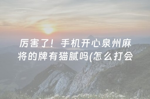 厉害了！手机开心泉州麻将的牌有猫腻吗(怎么打会赢)